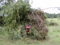 492168-8 different pile.JPG