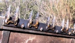 353605-teeth below.jpg
