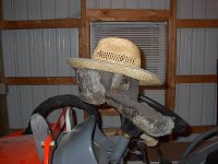 534916-IM001390.JPG