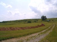 443408-ditch5.jpg