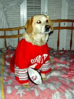6-96635-sheba.jpg