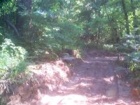 444083-road building 005.jpg