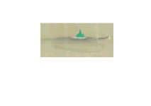 492383-Turtle as Submarine IIII.JPG