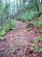 35-97672-culvert_0024.jpg