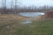 35-97855-pond.jpg