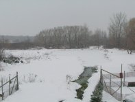 35-97888-mvc00016-1.jpg