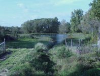 35-97889-pond1-1.jpg