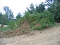 492684-Pile2.JPG