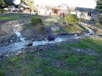 355238-Tributary.jpg