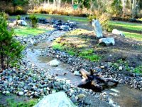 355242-Stream.jpg