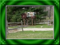 402661-tractor_lover.jpg