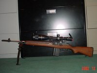 666443-ScopedM1A.JPG