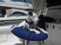 536189-Skipper_Boat.jpg