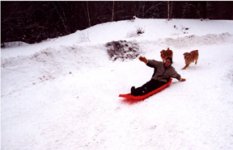 33-99209-Sledding2.jpg