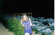 446707-strange tomato.jpg