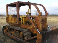 355978-D5 Cat.jpg