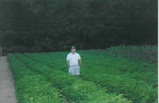 446708-taters.jpg