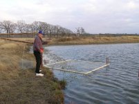 355981-Dad Feeding Fish.jpg