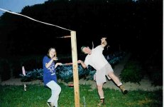 446712-electrifying.jpg