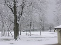 403184-april 4th  snow.jpg