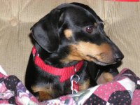 356087-Scheister in Chair-4.jpg