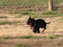 356089-Scheister Outside-12.jpg