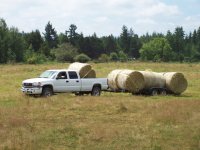 Hay 2010 043.JPG