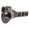 pintlehitch.jpg