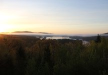 IMG_0380.jpg