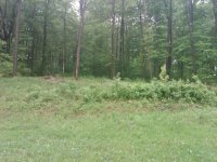 IMG00054-20100511-1732.jpg