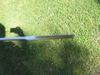IMG_1313.jpg