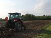 farming 2011 007.jpg