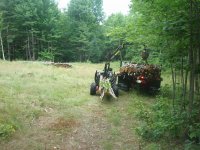 STONE MT WOODLOT 046.jpg