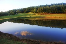 Pond.jpg