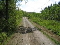 IMG_2401.jpg