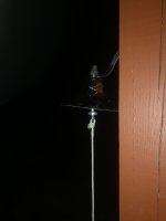 IMG_4381.jpeg