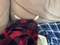 IMG_0400.jpeg