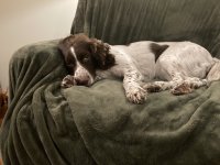 IMG_5543.jpeg