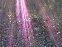 IMG00100.jpg