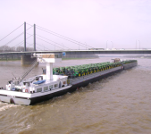 Boat Load of JD's.png