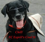 chill001.jpg