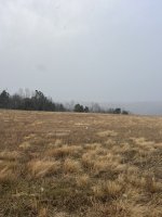 IMG_1555.jpeg