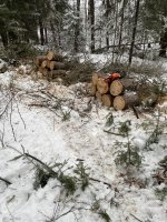 IMG_3889.jpeg