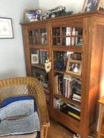 IMG_4395.jpeg