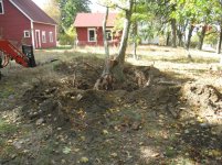 IMG_3511.jpg