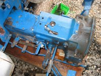 IMG_3677 (Medium).JPG