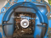 IMG_3678 (Medium).JPG