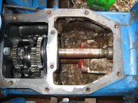 IMG_3684 (Medium).JPG
