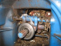 IMG_3707 (Medium).JPG