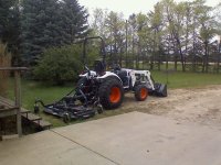 Bobcat03.jpg